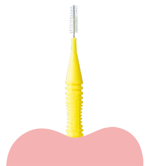 Interdental Brush