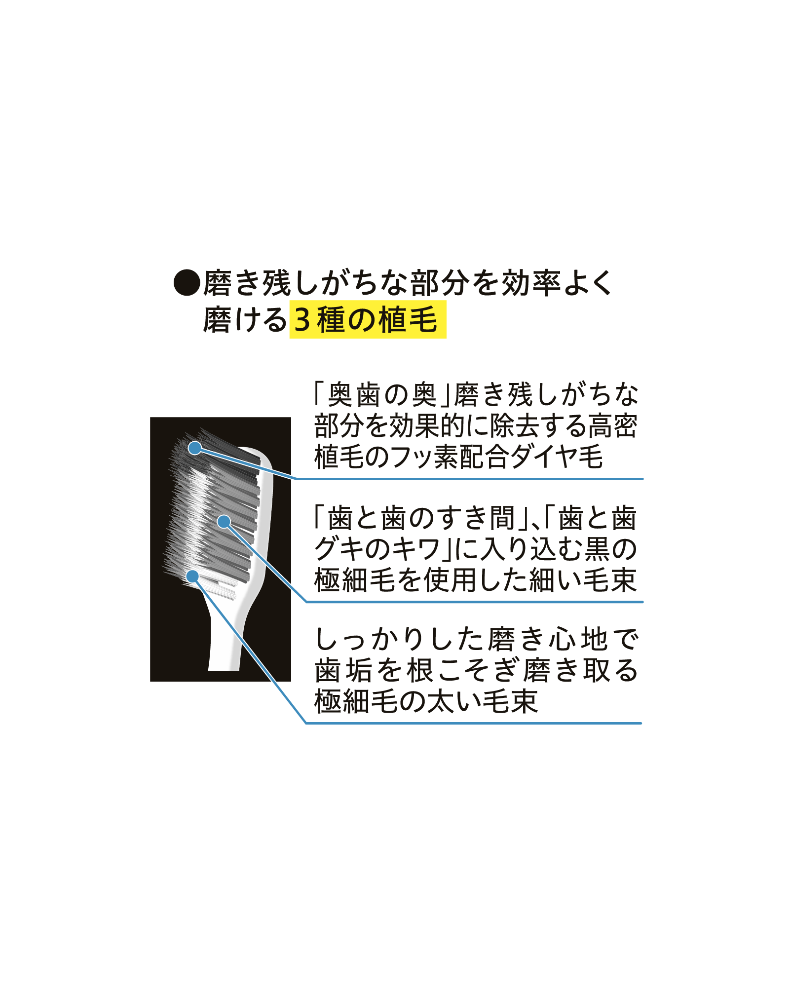 スライド画像