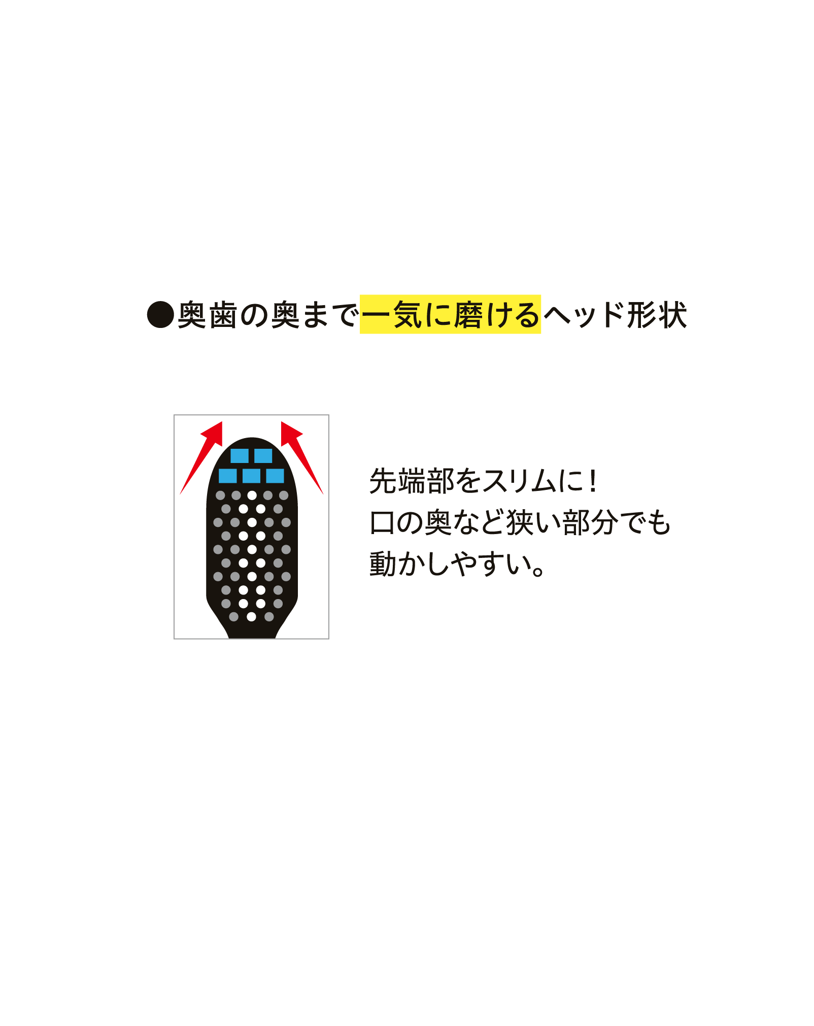 スライド画像