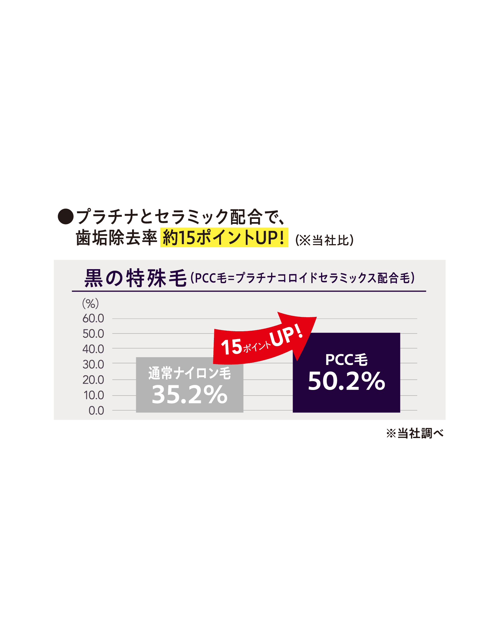 スライド画像