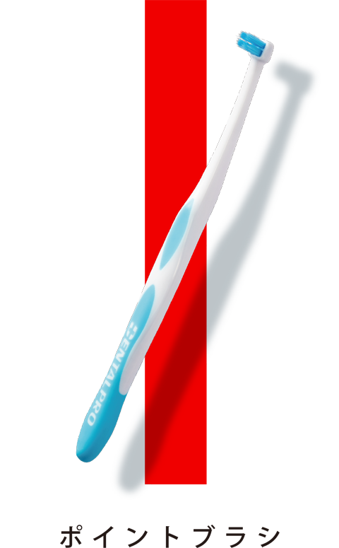 ポイントブラシ