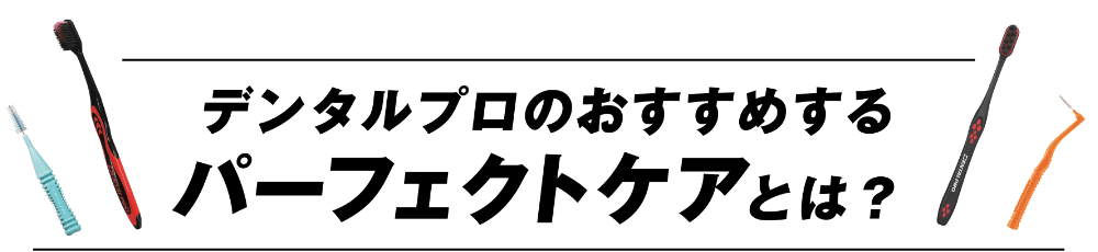 デンタルプロのおすすめするパーフェクトケアとは？