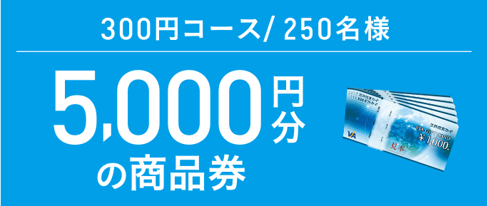 3,000円分の商品券
