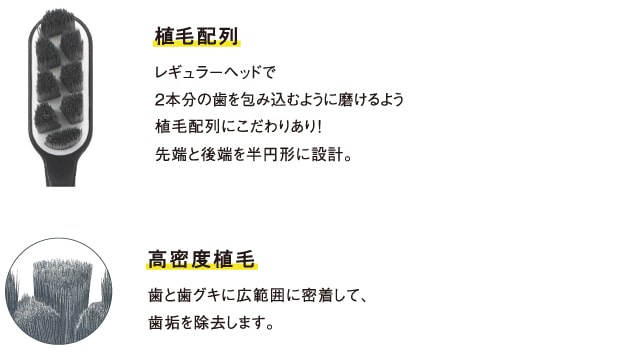 デンタルプロハブラシ